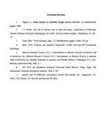 Referāts 'Kalcijs, tā toksicitāte organismā', 3.