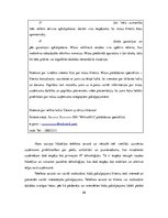 Prakses atskaite 'Pārdošanas prakse', 26.