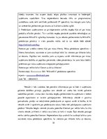 Prakses atskaite 'Pārdošanas prakse', 32.