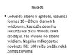 Prezentācija 'Lodveida zibens', 2.