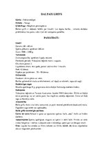 Konspekts 'Grifi un kondori', 5.