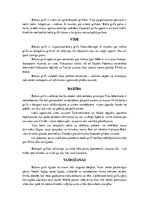 Konspekts 'Grifi un kondori', 6.