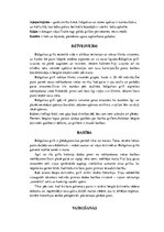 Konspekts 'Grifi un kondori', 9.