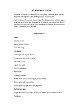 Konspekts 'Grifi un kondori', 11.