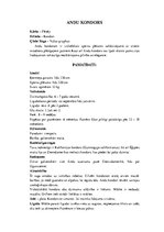 Konspekts 'Grifi un kondori', 18.