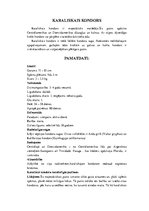 Konspekts 'Grifi un kondori', 21.