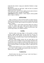 Konspekts 'Grifi un kondori', 22.