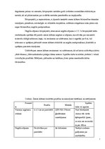 Prakses atskaite 'Ceļu būvniecība', 7.