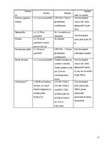 Prakses atskaite 'Ceļu būvniecība', 10.