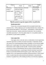 Prakses atskaite 'Ceļu būvniecība', 11.