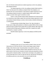 Prakses atskaite 'Ceļu būvniecība', 30.