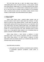 Konspekts 'Kredīta reitingu būtība', 13.