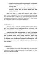 Konspekts 'Kredīta reitingu būtība', 15.