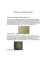 Referāts 'Saite un saites enerģija cietās vielās', 3.