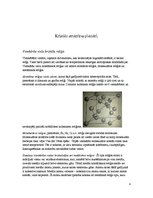 Referāts 'Saite un saites enerģija cietās vielās', 4.