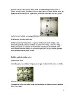 Referāts 'Saite un saites enerģija cietās vielās', 5.