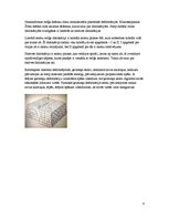 Referāts 'Saite un saites enerģija cietās vielās', 8.