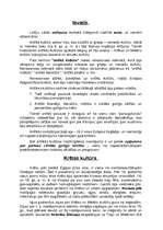 Referāts 'Antīkā kultūra', 3.