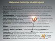 Prezentācija 'Antivīrusa "Avast!" apraksts', 9.