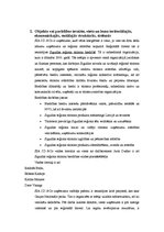 Prakses atskaite 'Pirmsdiplomdarba prakses atskaite "Sigulda hotel"', 4.