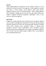 Konspekts 'Tūrisma aģentūru analīze', 2.