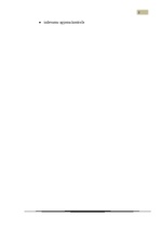 Referāts 'Uzņēmuma "Tele2" mārketinga vides un stratēģijas analīze un darbības plānošana', 32.