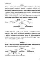 Referāts 'Vērtspapīri', 10.