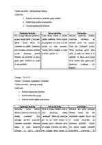 Prakses atskaite 'Aktīvā mācību un audzināšanas prakse pirmsskolā', 12.