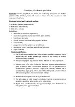 Konspekts 'Glaukoma, tīklenes katarakta', 1.