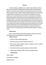 Konspekts 'Zvērināta advokāta tiesības, pienākumi un atbildība', 3.