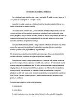 Konspekts 'Zvērināta advokāta tiesības, pienākumi un atbildība', 8.