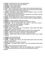 Konspekts 'Filosofijas termini', 2.