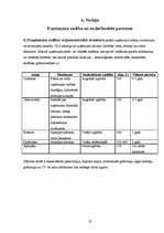 Biznesa plāns 'Biznesa plāns skaistumkopšanas salonam', 19.