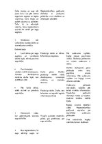 Konspekts 'Integrētais mācību saturs sākumskolai', 3.