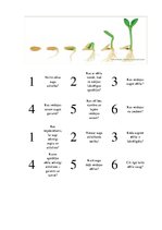 Konspekts 'Integrētais mācību saturs sākumskolai', 7.