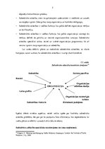 Referāts 'Sabiedrisko attiecību raksturojums', 5.