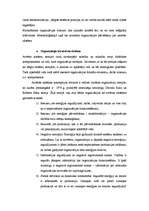 Konspekts 'Grupas organizācijās', 3.