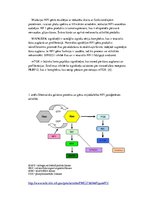 Eseja 'Neirofibromatoze', 3.