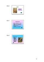 Referāts 'Tutanhamons', 16.