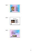 Referāts 'Tutanhamons', 17.