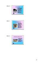 Referāts 'Tutanhamons', 18.