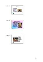 Referāts 'Tutanhamons', 19.