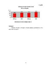 Referāts 'Tūrisma attīstība Latvijā no 1999. līdz 2006.gadam', 10.