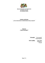 Referāts 'Vītņu konveijeri', 1.