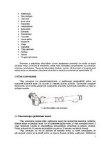 Referāts 'Vītņu konveijeri', 5.