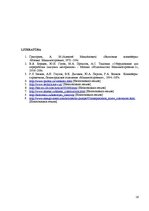 Referāts 'Vītņu konveijeri', 16.