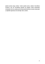 Referāts 'Aparteīda politika Dienvidāfrikas Republikā, tās starptautiskā izolācija', 10.