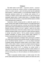 Referāts 'Aparteīda politika Dienvidāfrikas Republikā, tās starptautiskā izolācija', 15.