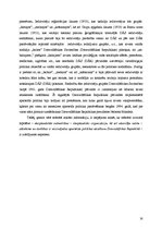 Referāts 'Aparteīda politika Dienvidāfrikas Republikā, tās starptautiskā izolācija', 16.