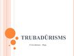 Prezentācija 'Trubadūrisms', 1.
